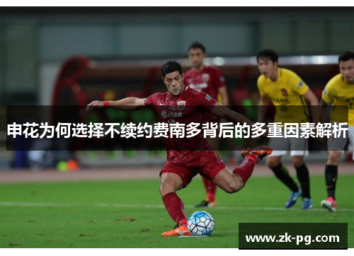申花为何选择不续约费南多背后的多重因素解析