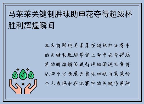 马莱莱关键制胜球助申花夺得超级杯胜利辉煌瞬间