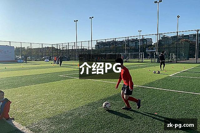 介绍PG